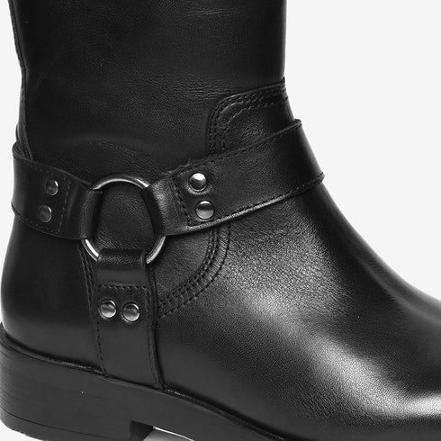 Greyder Women's Regal Knee High Boots In Black