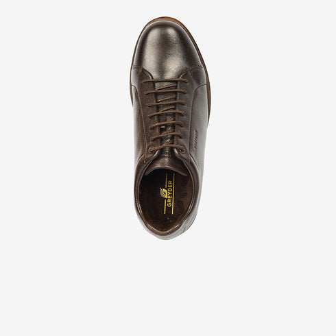 Greyder Men's Formal Leather Shoes in Brown