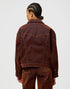 Lee Women's Cowboy Jacket In Cinnamon Chill - Rodeo In